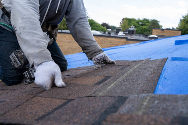Gutter Installation and Roofing in Smithville Sanders, IN