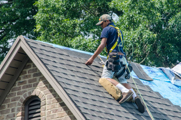 Best Shingle Roofing Installation  in Smithville Sanders, IN